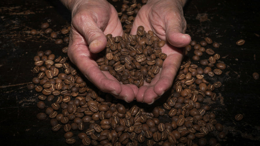 How to keep freshly roasted coffee fresh