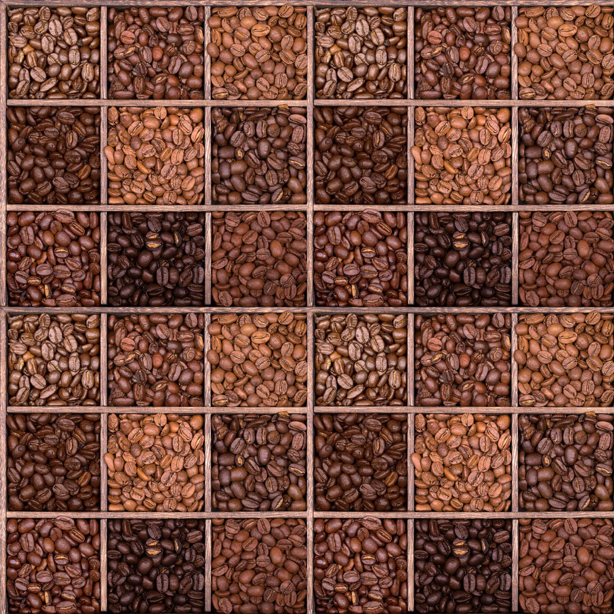 Illustration of Single Estate Coffee Beans Online Shop