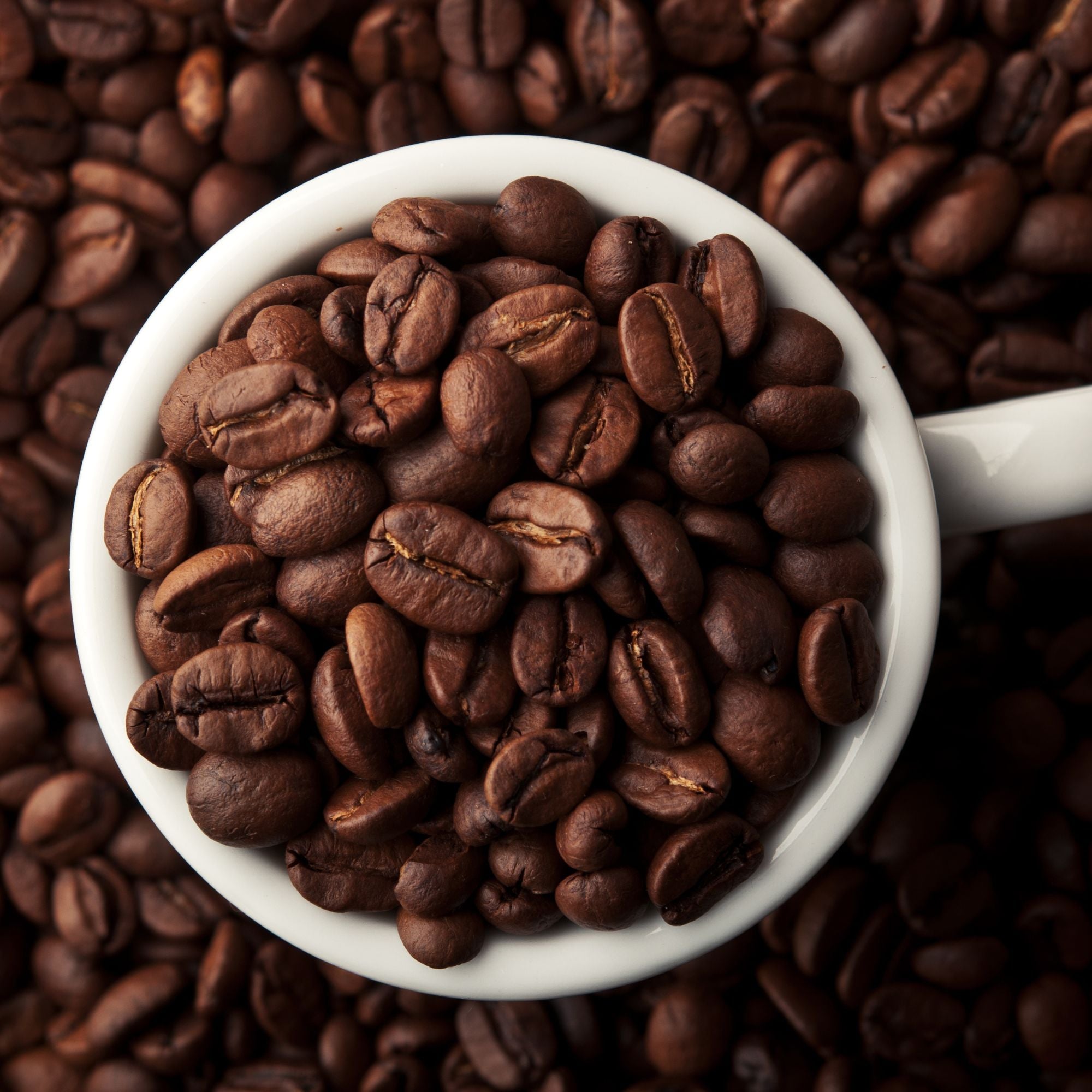 JustFreshRoasted Sulawesi Kalossi coffee beans