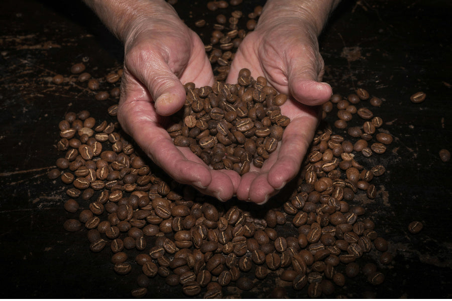 How to keep freshly roasted coffee fresh