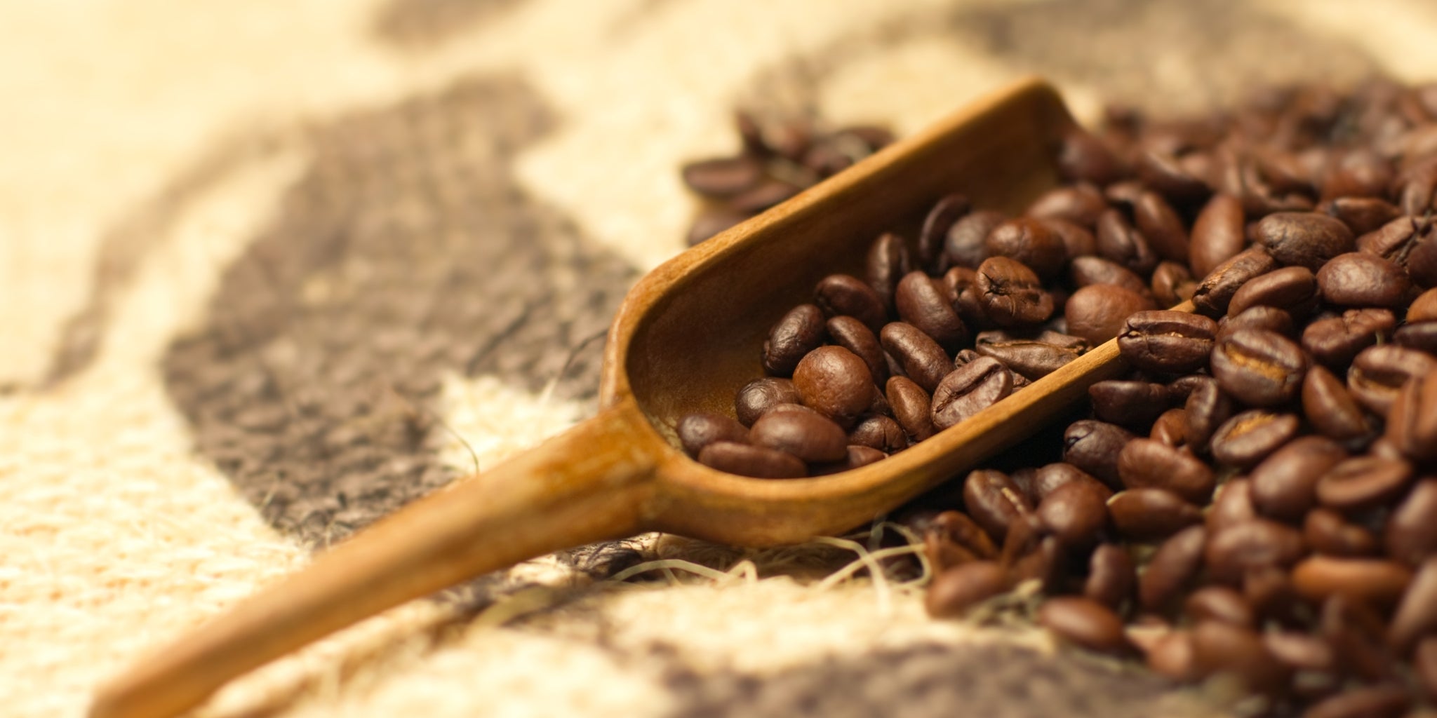 JustFreshRoasted Single Origins versus Blends