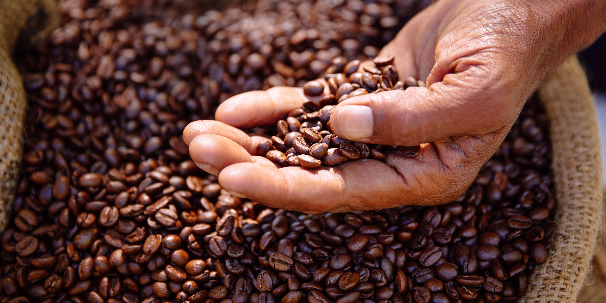 JustFreshRoasted produces amazing tasting Organic coffee capsules using 100% arabica.